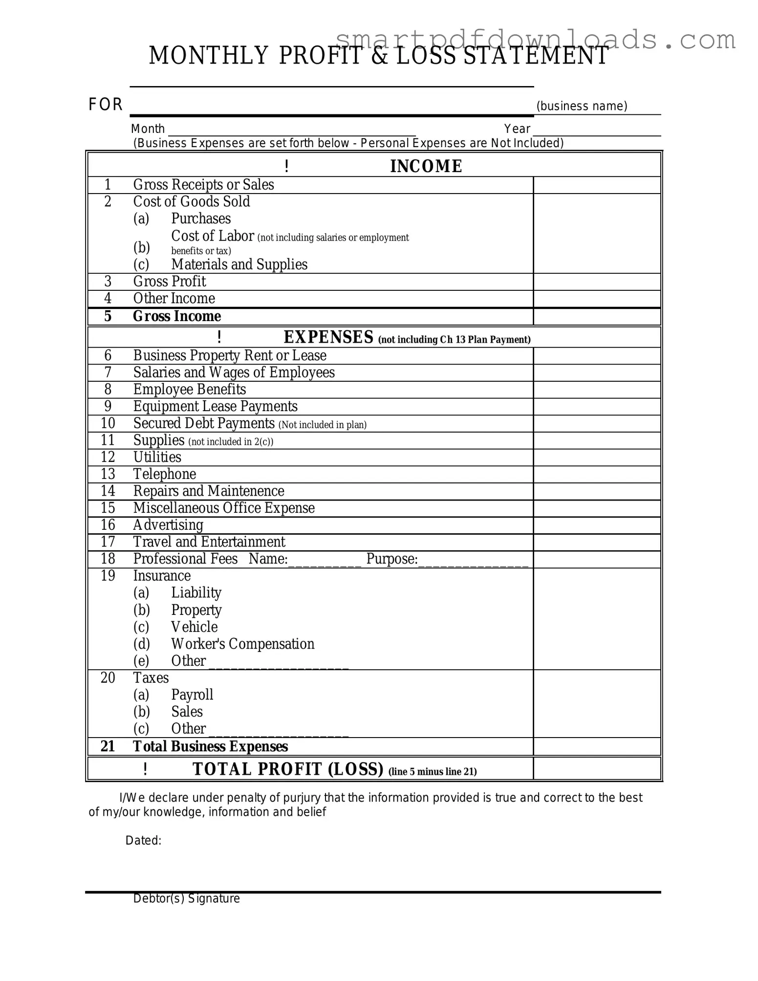 Profit And Loss Form