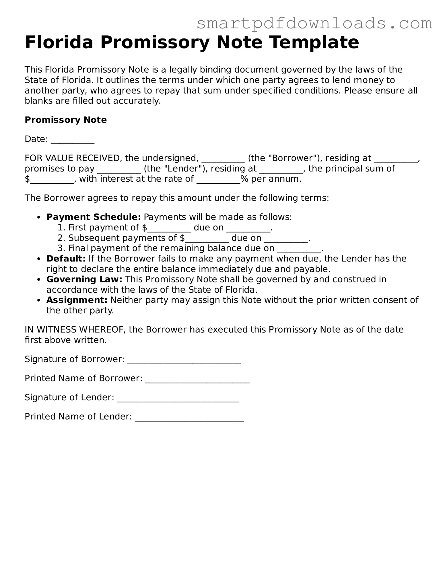 Legal Promissory Note Form for the State of Florida