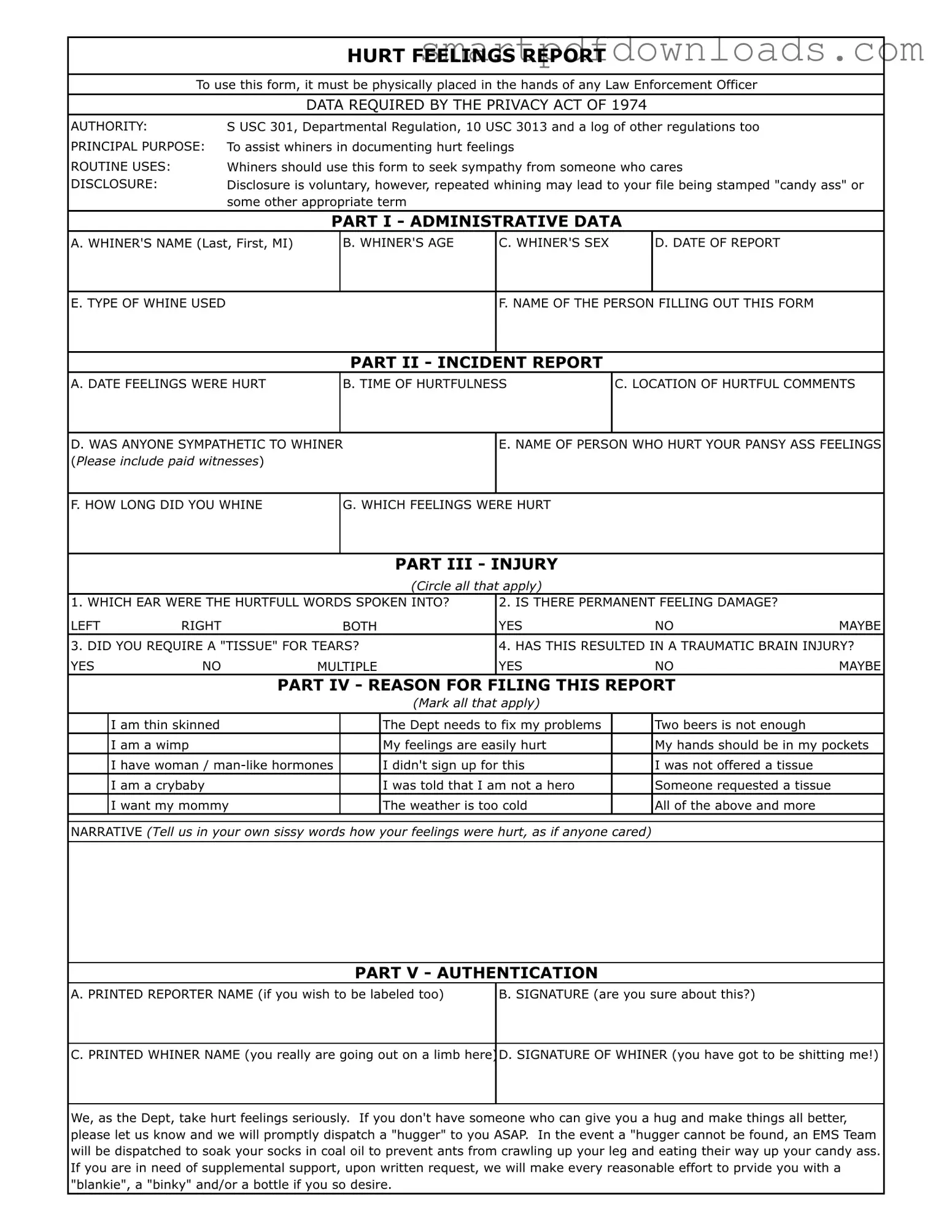 Hurt Feelings Report Form