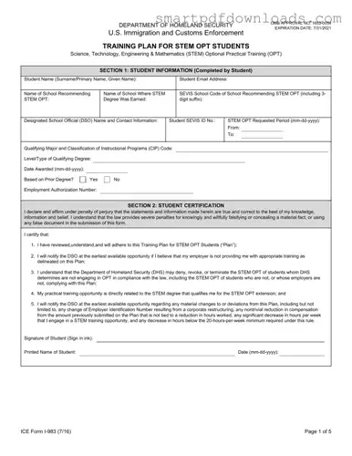 ICE I-983 Form
